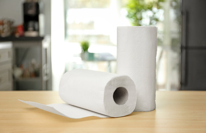 Coffee Filter Substitute
